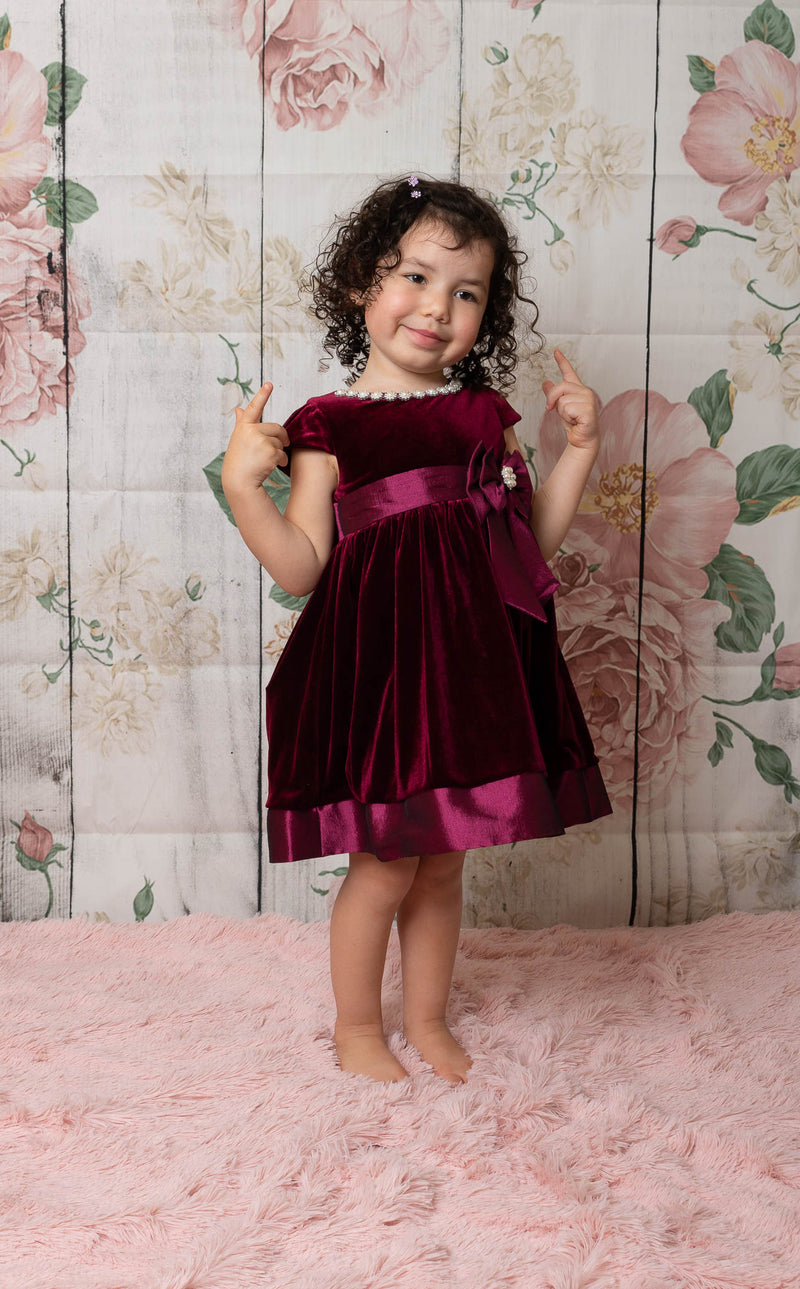 Velvet Fit & Flare Dress 6 / Burgundy Velvet Fit & Flare Dress 6 / Burgundy