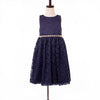 Navy Blue Sleveless Lace Dress